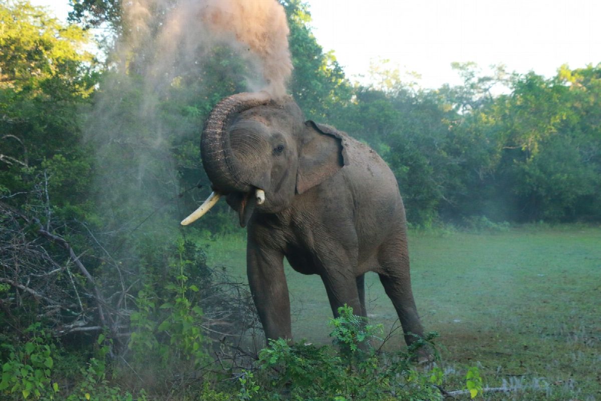 sri-lanka