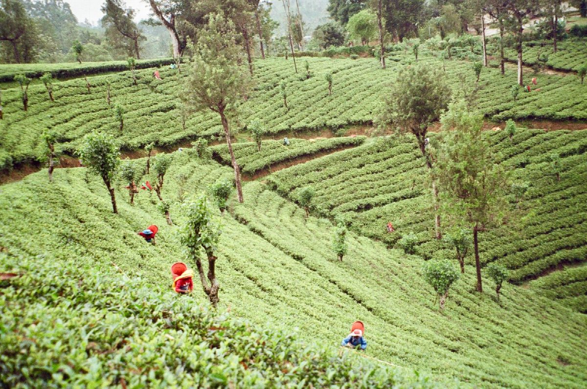 sri-lanka