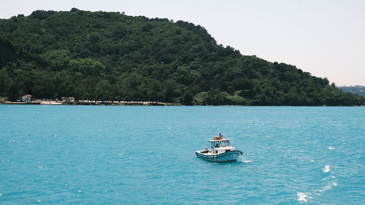 turkije