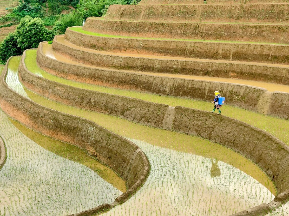 vietnam