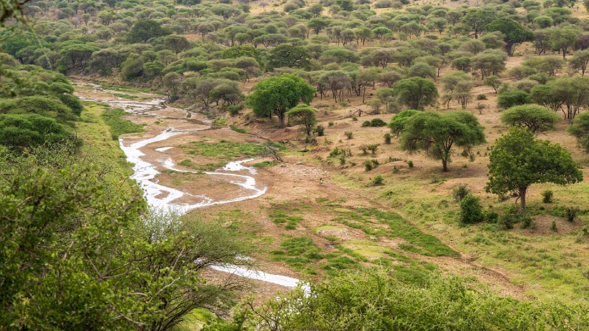 zambia