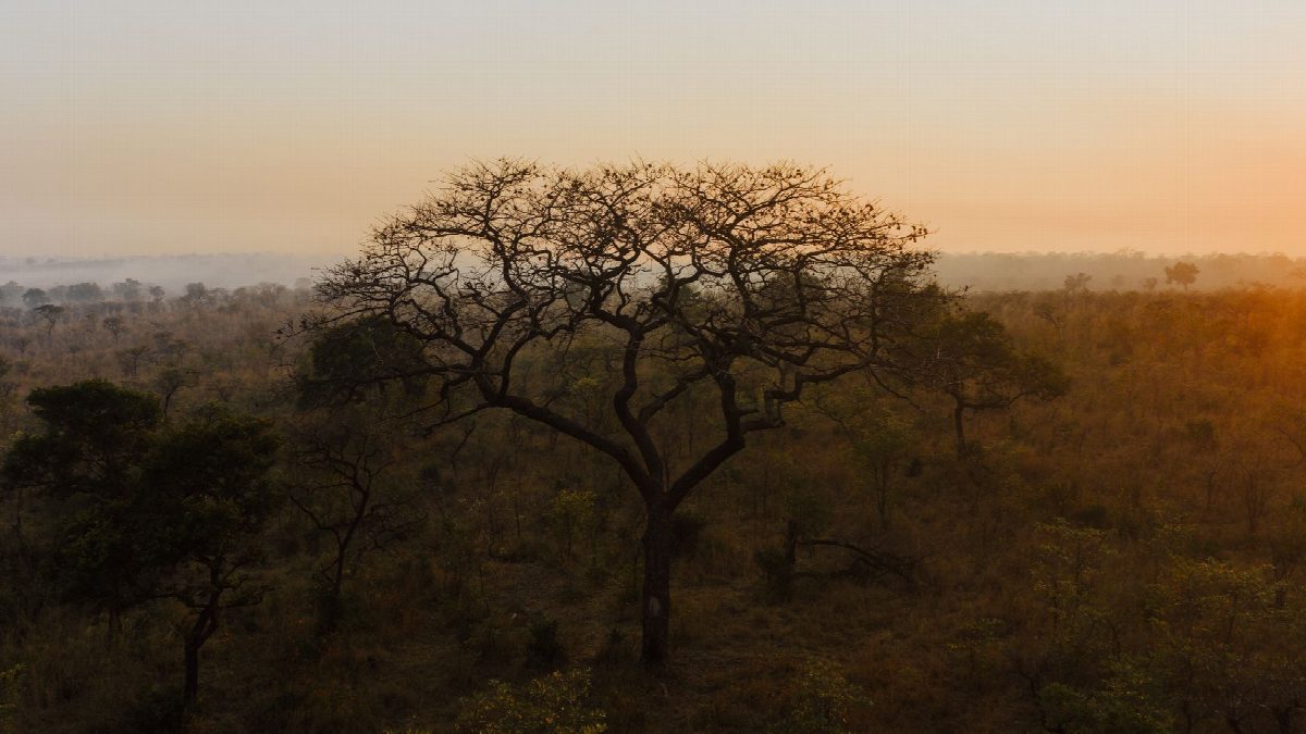 zimbabwe