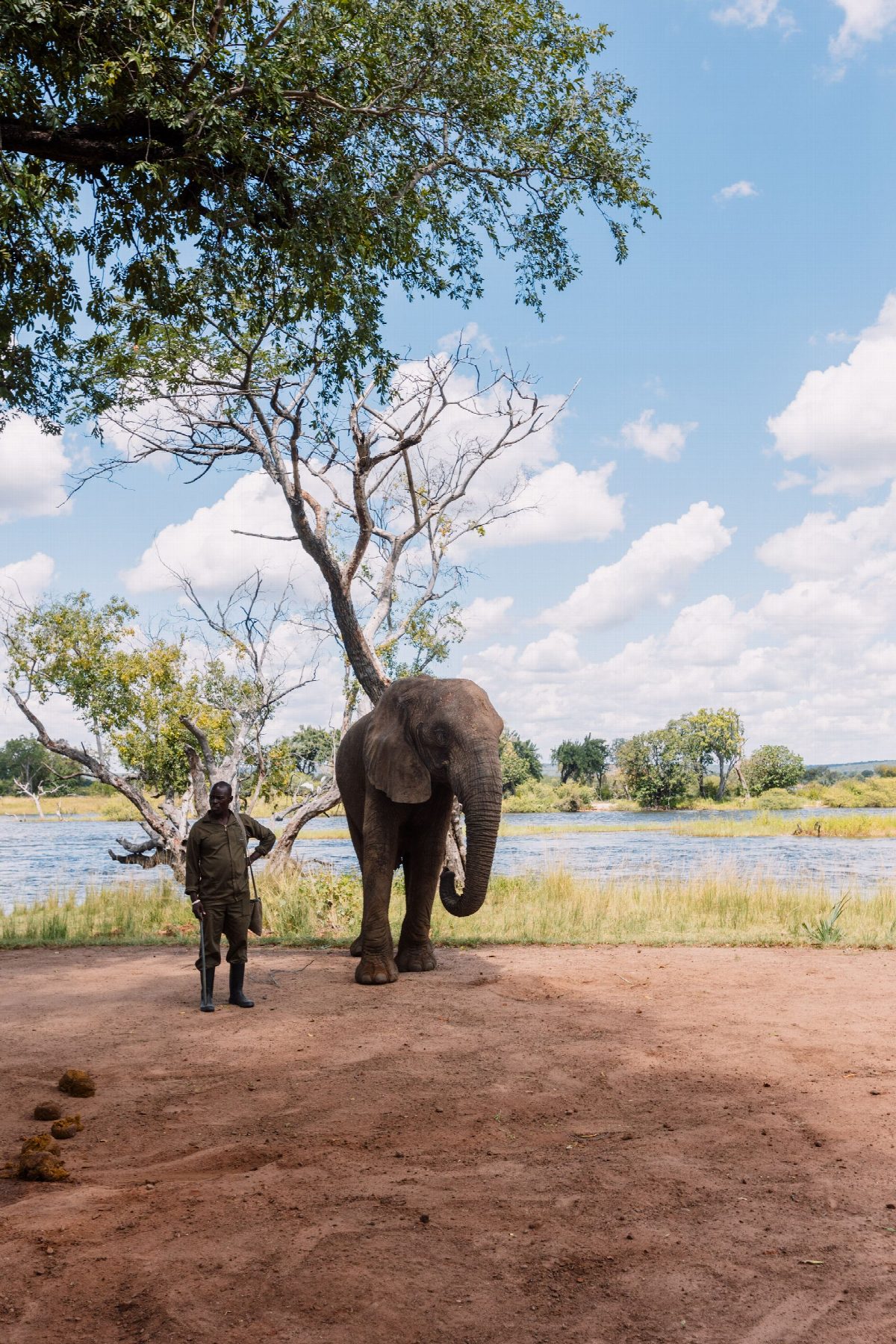 zimbabwe