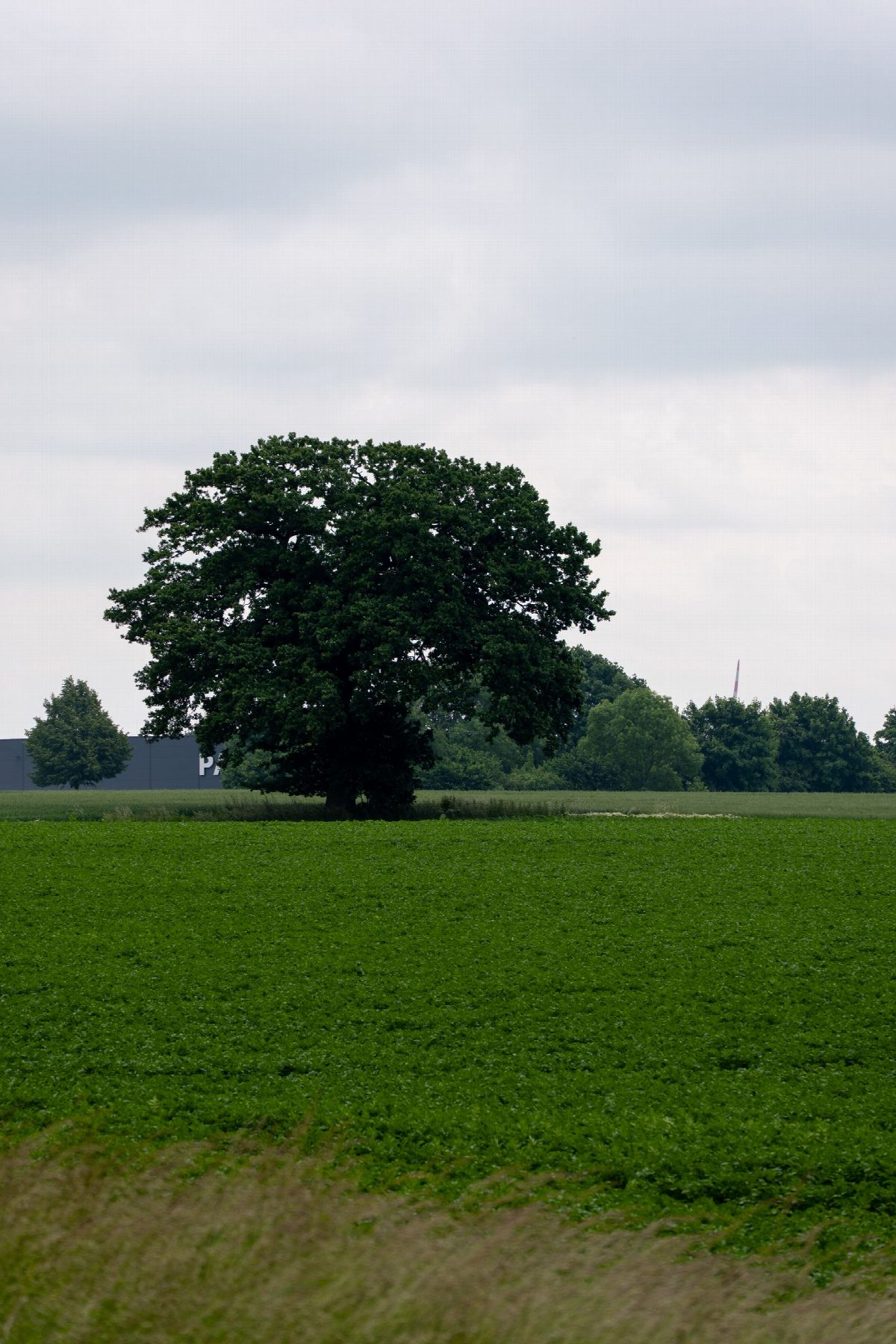 zweden